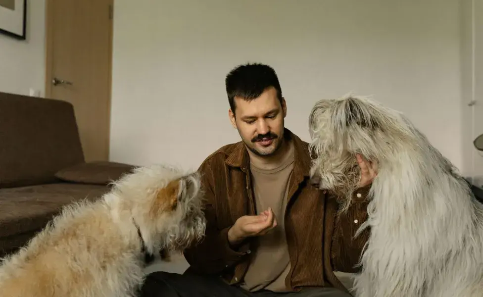 La mayoría de los dueños de perros los ven como un amor incondicional.