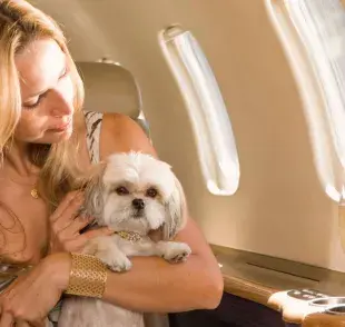 El perro de apoyo emocional ayuda a los tutores a afrontar trastornos psicológicos