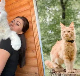 gato más grande del mundo
