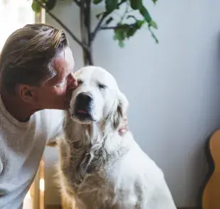 Amor de perro: aprende a demostrar el amor por tu perro 