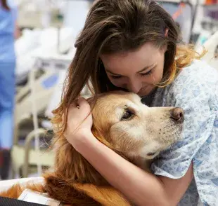 Se cree que el perro siente olor a enfermedad en el dueño