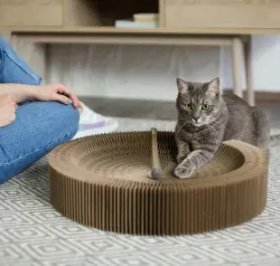 Rascadores para gatos