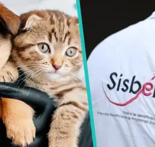Sistema de Identificación de Potenciales Beneficiarios para Programas Sociales (SISBÉN)