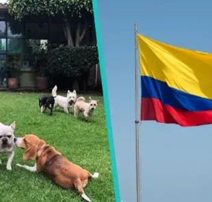 Si te encuentras en países como Chile, Argentina o México puedes consultar las listas aquí dándole clic a cada país