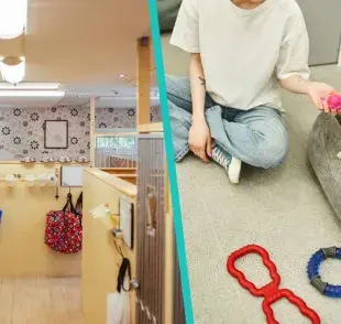 Si en tus vacaciones o planes navideños no puedes incluir a tu perrito o gatito, ¡no te agobies!