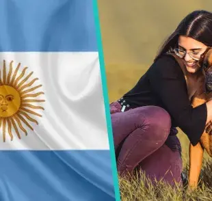 Los animales podrían ser considerados “personas no humanas sintientes”.