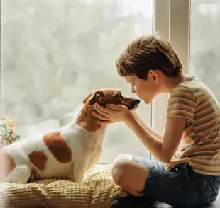 El amor de perro se transmite a través de la mirada: descubre cómo