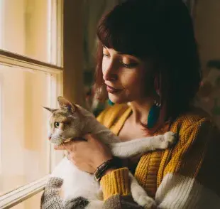 Mira un paso a paso para acertar a la hora de elegir un cat sitter para gatos