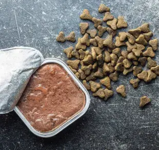 Mezclar un poco de comida húmeda en las croquetas es excelente