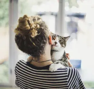 La toxoplasmosis no afecta a todos los gatos y no debe ser motivo para abandono y prejuicios con los animales