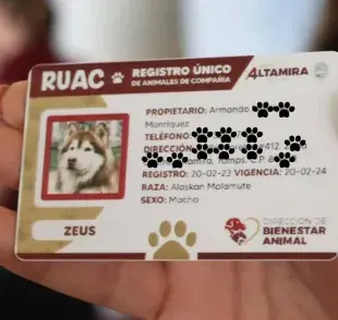 Imagen obtenida vía Garmoclick.com