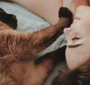 Estos son los beneficios que tendrás al tener un gato en casa