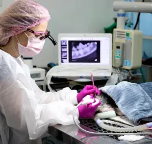 Cómo elegir una clínica veterinaria adecuada según una especialista