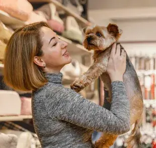 ¿Primera vez de tu perro en un centro comercial? sigue estos tips 