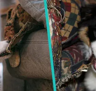 Cómo hacer que tu perro deje de morder tus muebles