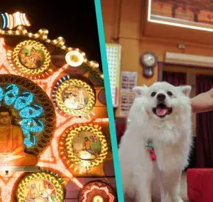 ¿Bendecir a tu mascota?, los budistas lo hacen