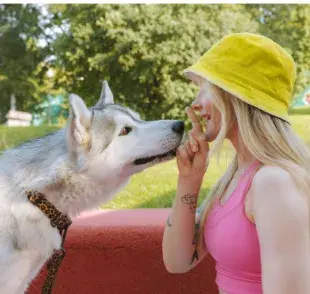 Husky con su dueña en el parque. Foto: Pexels/Yaroslav Shuraev