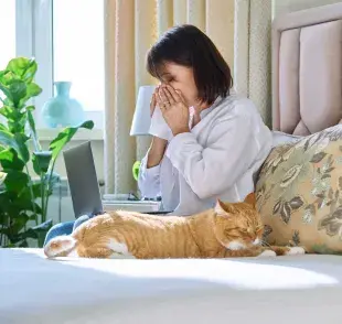 Mujer estornudando junto a su gato. Foto: Envato/ valeriygoncharukphoto