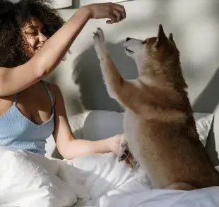 Perro con su dueña en la cama. Foto: Pexels