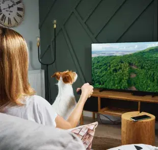 Perro viendo la televisión. Foto: Envato/Lazy_Bear