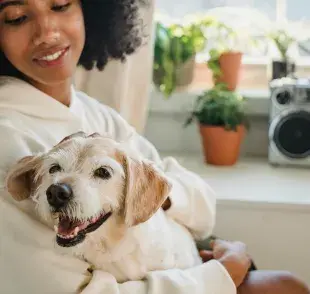 Festeja el Día del Perro y apoya la adopción responsable