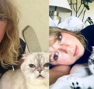 Taylor Swiftes una orgullosa mamá de gatos. Foto: Instagram/@ohmydogmag