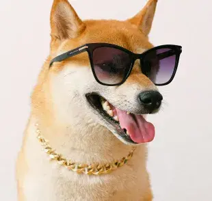 Los memes de perritos crean conexiones entre humanos.