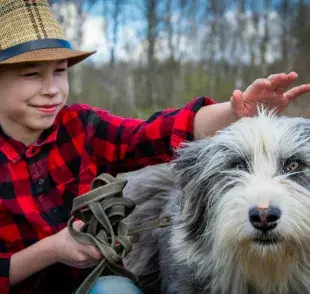 Tras la castración, los perros tienen cambios hormonales. Foto: Pexels/Vika Glitter