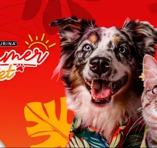 El Summer Pet premiará a los perros y gatos en su día. 