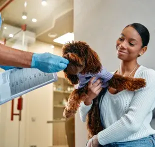 Para perros adultos, la recomendación general es desparasitarlos al menos cada tres meses.