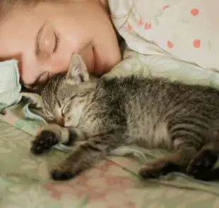 Dormir con mi gato: ¿Aumenta mi bienestar o afecta mi salud?
