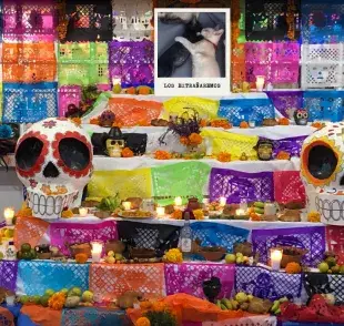 Honra a tu mascota con una Ofrenda de Día de Muertos personalizada.