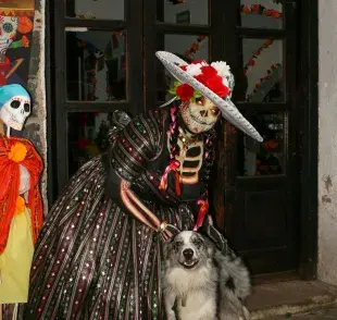 El 27 de octubre se celebra el Día de muertos para mascota.