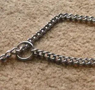 Por qué evitar cadenas de metal para tu perro
