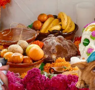 Elementos de tu ofrenda que podrían ser tóxicos para tu mascota