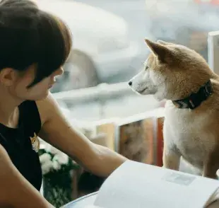 Tu estrés es contagioso, especialmente a tu perro.