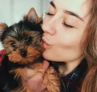 Existen tres tipos de dueños de perros. 