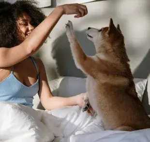 Si tu perro duerme en tu cama, debes lavar las sábanas al menos una vez por semana.