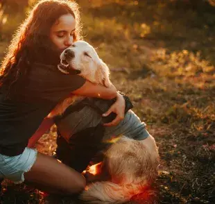 Si piensas adoptar un perro, revisa las razas que son más amigables con el humano, como el Golden.