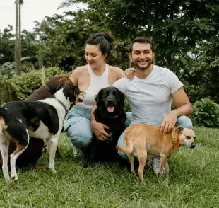 El adiestramiento positivo en perros es mucho más recomendable que los antiguos métodos de castigo.