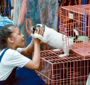 La venta de animales disminuye el tráfico de mascotas.