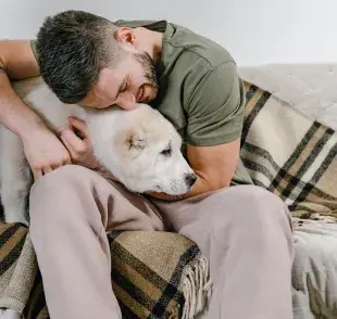 Es posible tener un perro si vives en departamento, solo toma en cuenta la diversión.