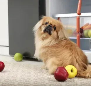 La manzana este fruto es una excelente fuente de fibra, vitamina A y vitamina C.