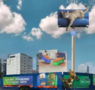 Concursa con tu perro y gato en el reto de Dog Chow y Cat Chow.
