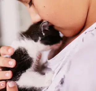 A los gatos les brotan los dientes a las tres semanas de vida.