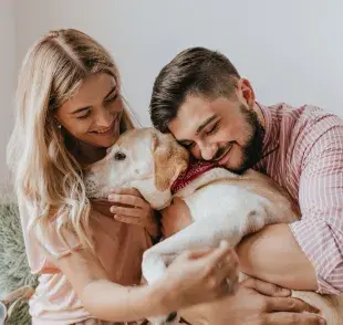 Recordar a tu perro con una cadena es un gran homenaje para ellos.