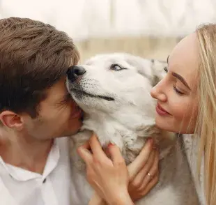 Decirle adiós a tu perro es un proceso doloroso y puede llegar a tomar años.