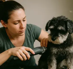 Cortarle el pelo a tu perro en casa se puede, solo ten cuidado con los bigotes.