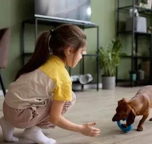 Los perros adoptados pueden sufrir algún trauma; con paciencia y amor desaparecerán.