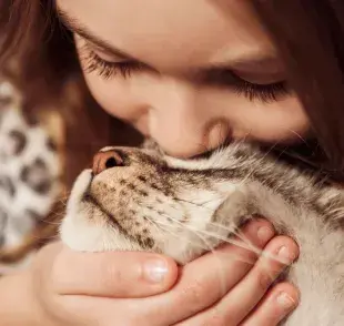 Los gatos necesitan sentirse seguros desde el primer día, así que acondiciona tu casa.
